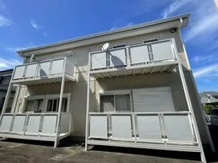 SURPLUS 常春 Bの画像