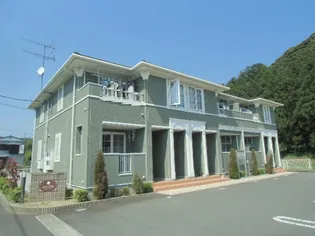 メープルの画像