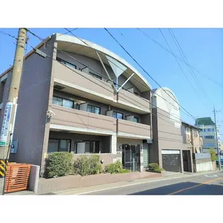 パピリオ 花の木の画像