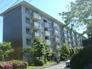 藤の木団地8号棟の画像