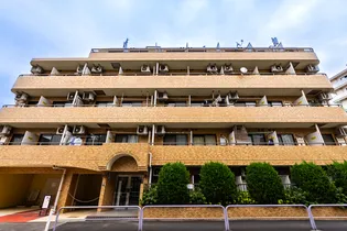 ライオンズマンションときわ台の画像