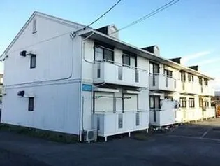 ハニーゴールドの画像