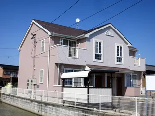 ピーコックYの画像