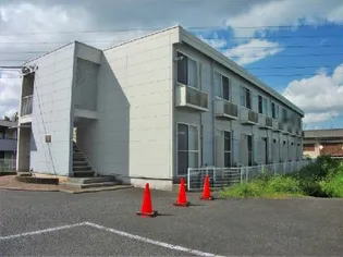 マメゾンの画像