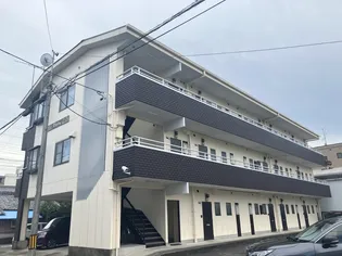 チェルシーの画像