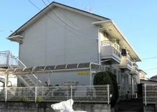 パラグレイスIIIの画像