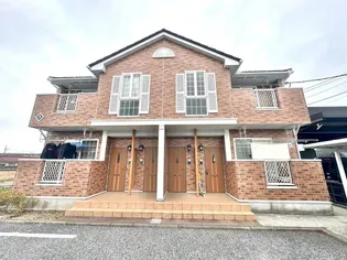 ブルームの画像