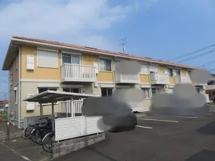 アネラ ハレの画像