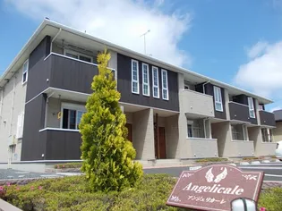 アンジェリカーレの画像