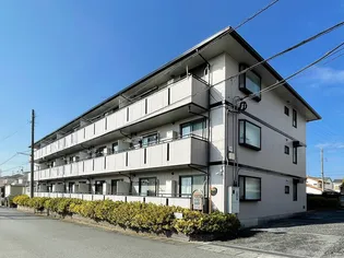 トマトノワの画像