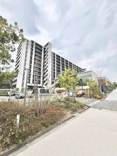 トヨタミッドヒルズ毘森公園の画像