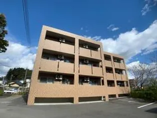 ガウディウムサカモトIIの画像