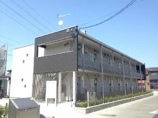 クレイノドルチェパーシモンの画像