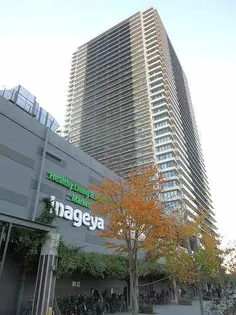 シティタワー金町 タワー棟の画像