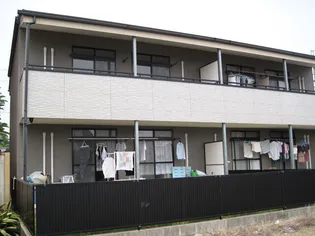 ドリーム ファミリーの画像