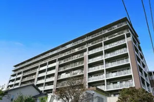 ルネコンフォートレジデンスの画像