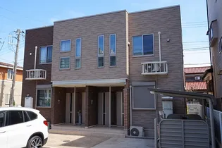 エムセレーノAの画像