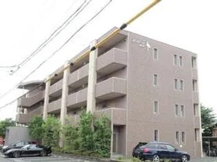 バンテージおりどの画像