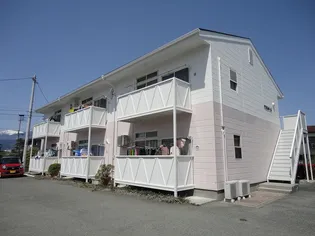 アミスターBの画像