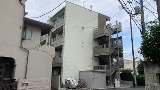 クレイノ錦の画像