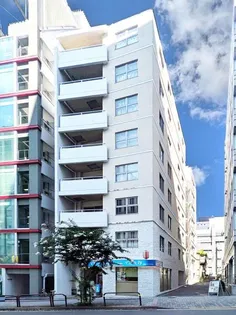 東京都千代田区麹町3丁目【マンション】の外観