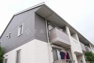 カメリアの画像