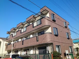 大阪府大阪市東住吉区住道矢田6丁目【マンション】の外観