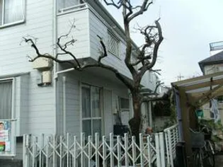 ホワイトハイツ渡辺の画像