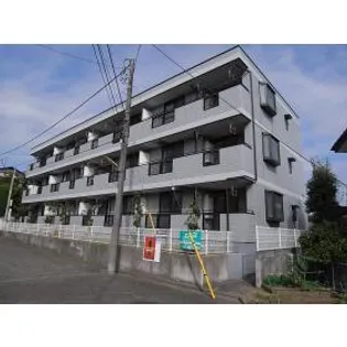 プラシードの画像