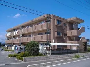 ユーミーサンライズの画像