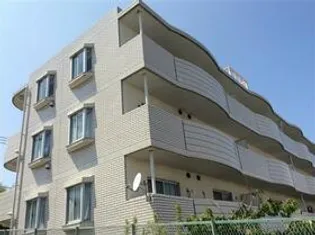 チェリーブロッサムの画像