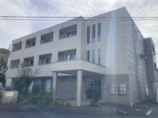 アイユーの画像