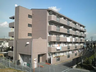 ルミエールフカキの画像