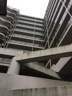 リバー デイズ綱島の画像