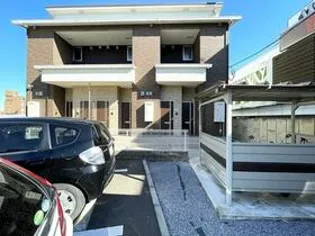 CAT COCOA Aの画像