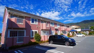 シンシアBの画像