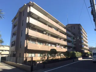 クレドール草加の画像