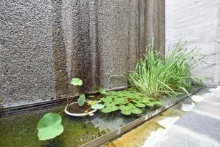 東京都調布市布田4丁目【マンション】の外観