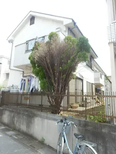 第3ハイムアズマの画像