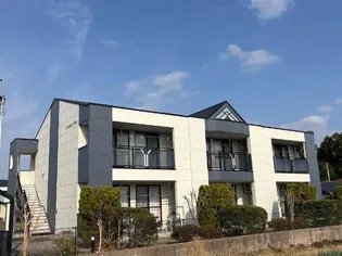 BRILLIANT FORTUNEの画像