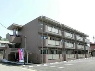 Y&M 彩の画像