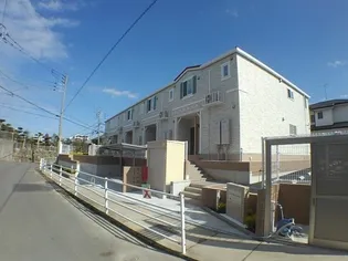 ピュア ニューポポラの画像