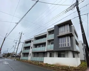 ラディーチェCの画像