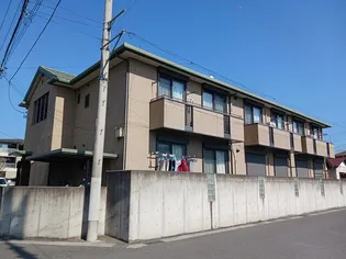 プリシラ1の画像