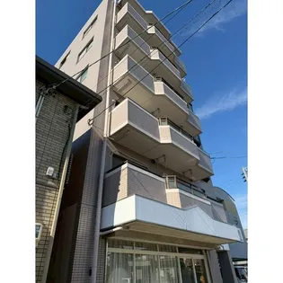 ソシア錦の画像