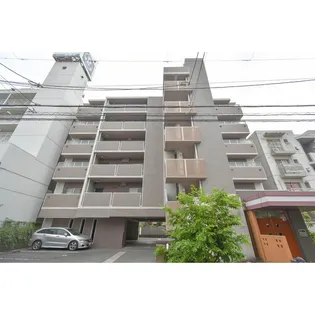 ハイネスオーミの画像