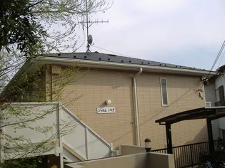 シャルムトキタの画像