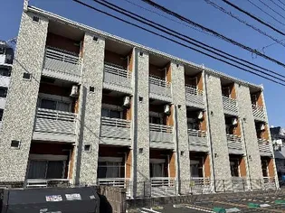 レオネクストボンボネーラの画像