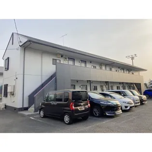 コンフォーレハイムパープルの画像