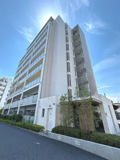 エスティメゾン八潮の画像